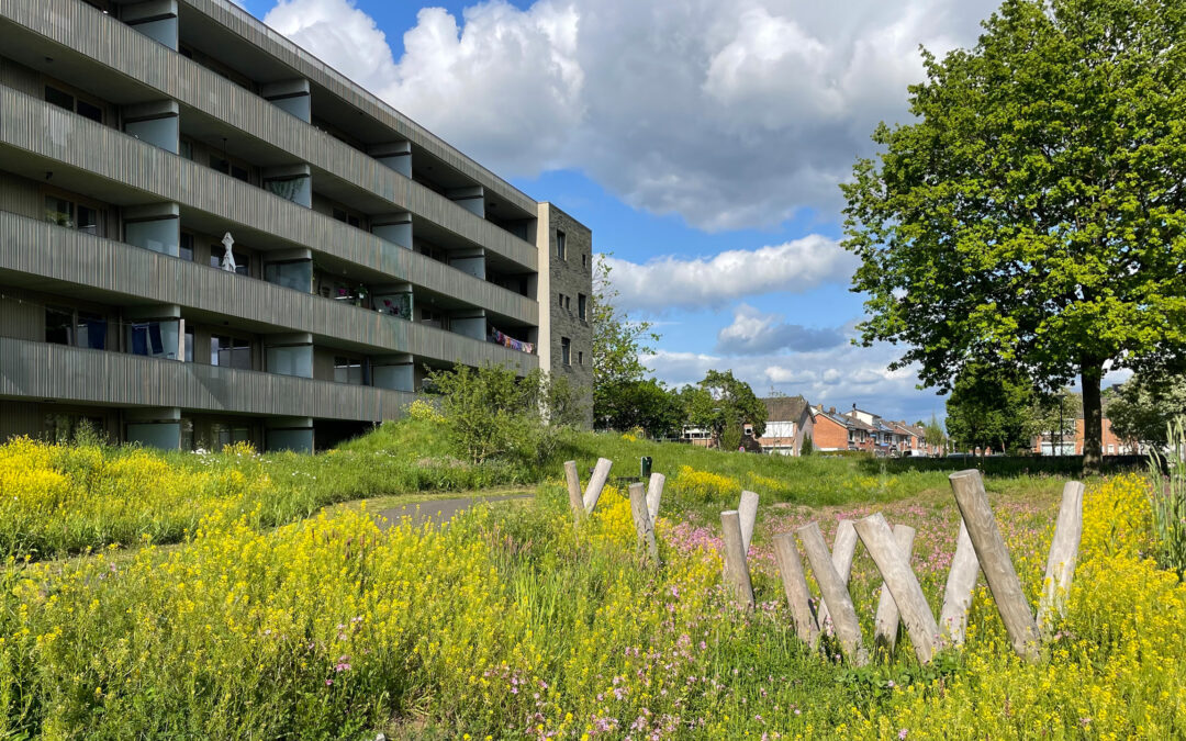 Salvia- en Magnoliapark